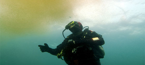 Taucher mit Meeresleuchten; Foto: Wolf Wichmann