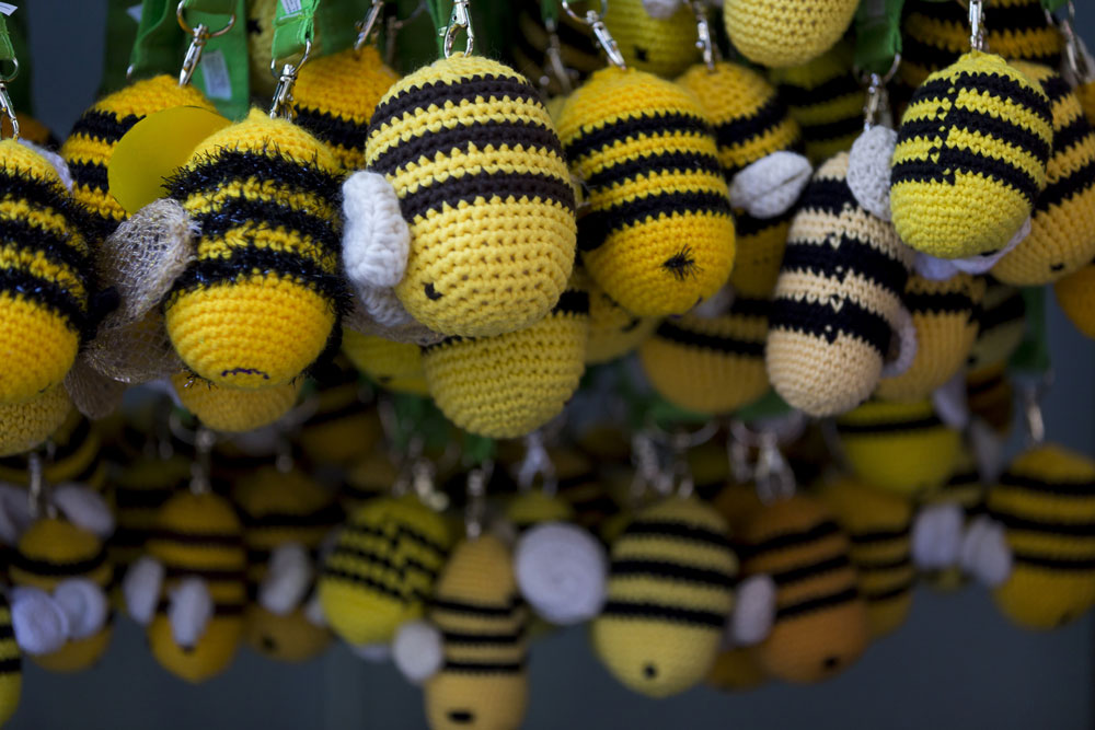 BUND-Sommerabend zur Biene. Foto: Jörg Farys / BUND