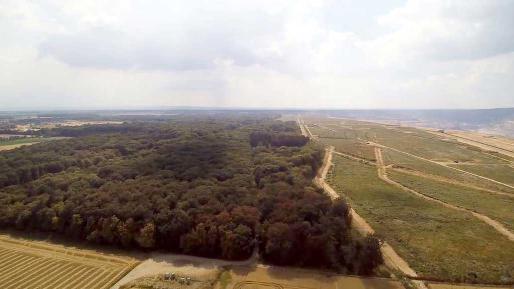 Luftbild des Hambacher Walds und Tagebaus