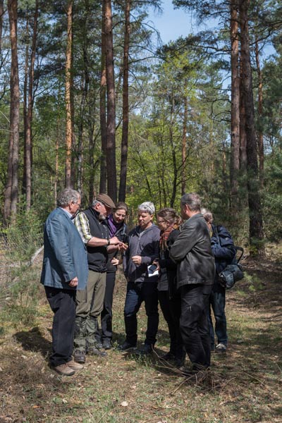 Stadtwald Treuenbrietzen: Der Wald in Zeiten des Klimawandels – Mai 2019