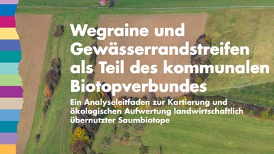 Handbuch BUND: WEgrainen und Gewässerrandstreifen als Teil des kommunalen Biotopverbundes